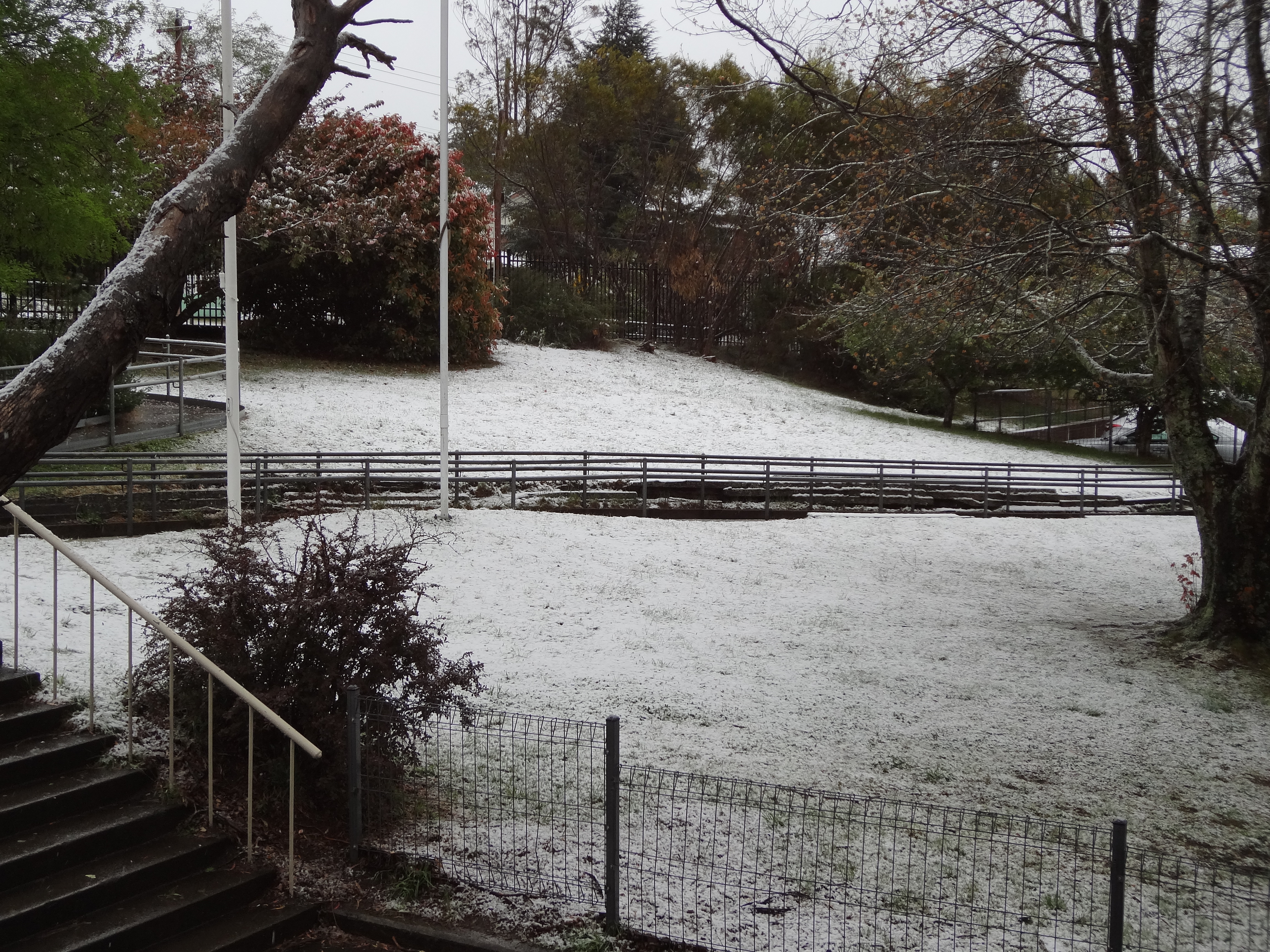 Snow, 12th October, 2012