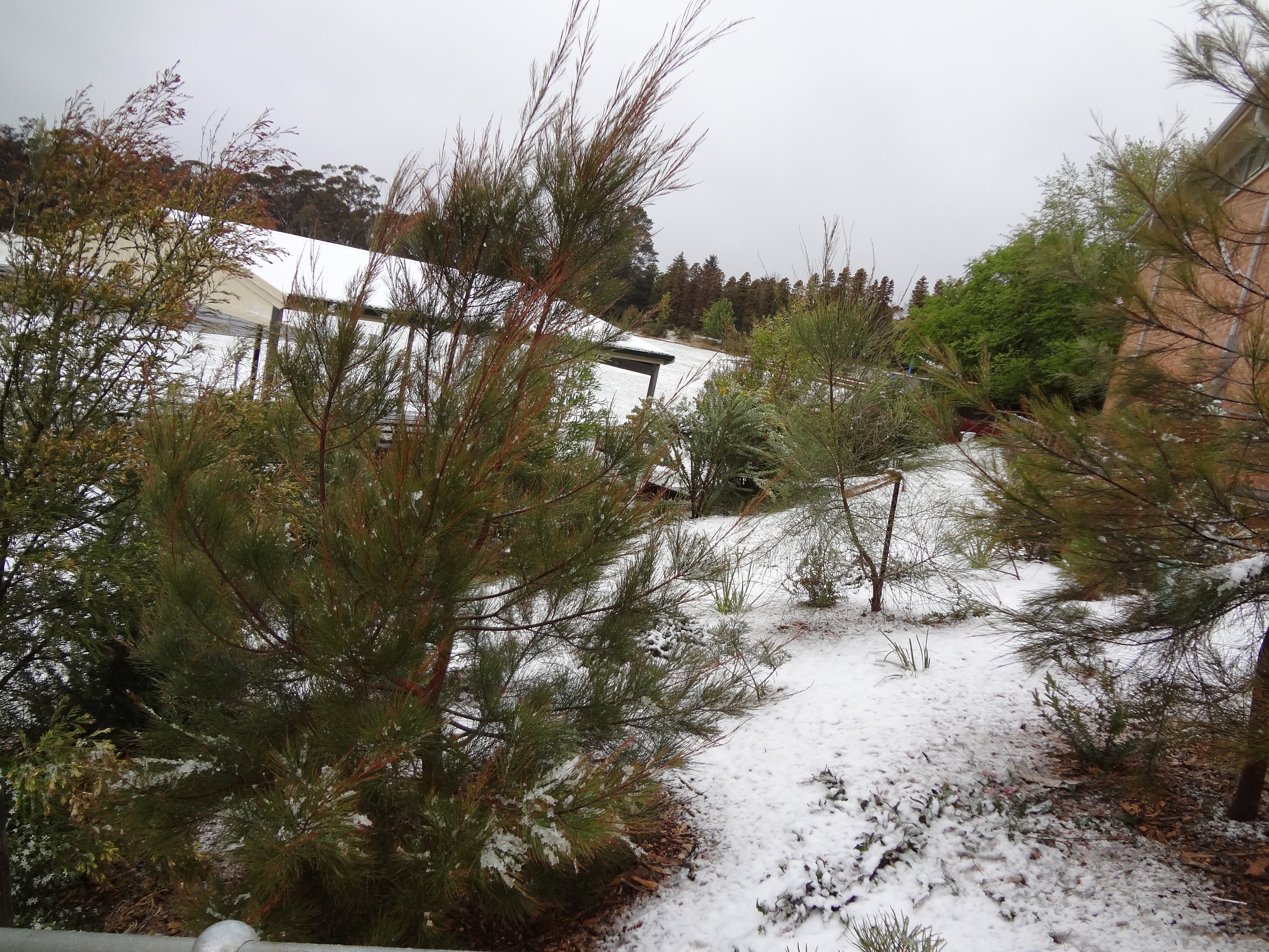 Snow on the school grounds.